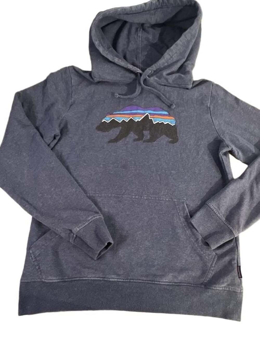 Patagonia Fitz Roy Bear Midweight Organic Cotton Pullover Hoodie Blue Size S